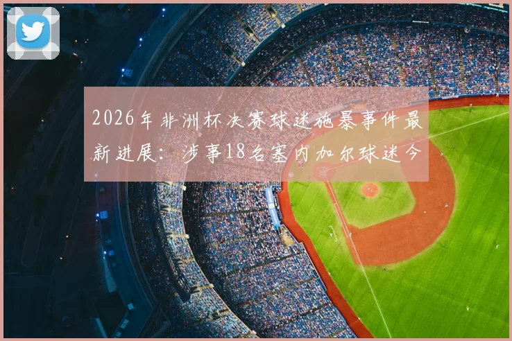 2026年非洲杯决赛球迷施暴事件最新进展:涉事18名塞内加尔球迷今日出庭受审细节梳理